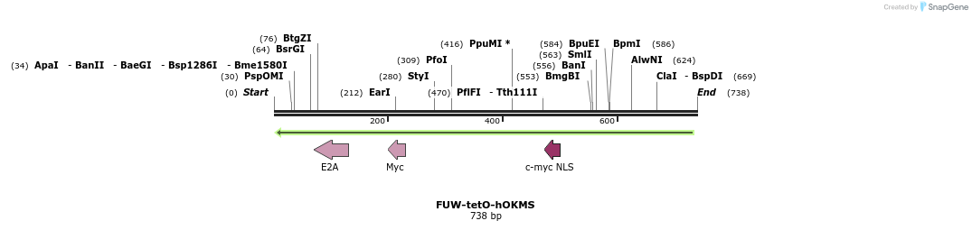 84723_map
