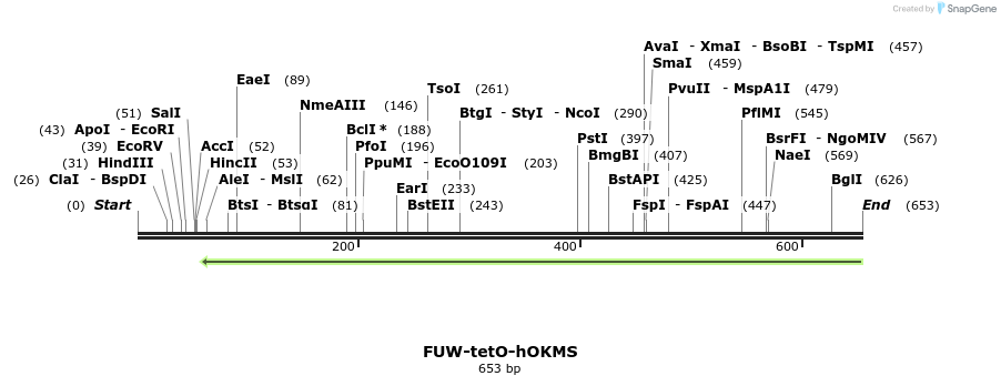 84725_map