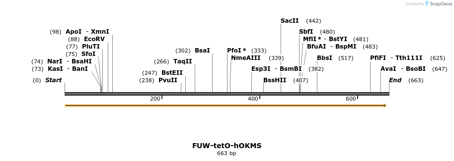 84728_map