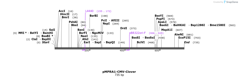 84731_map