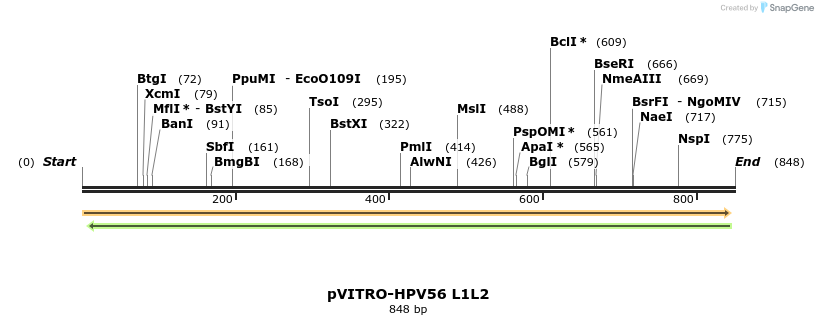 84737_map