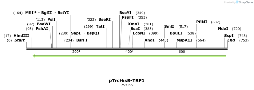 84738_map