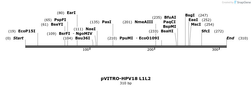 84739_map