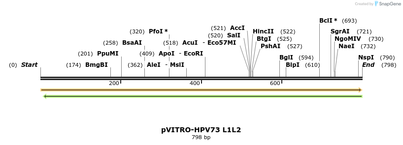 84740_map