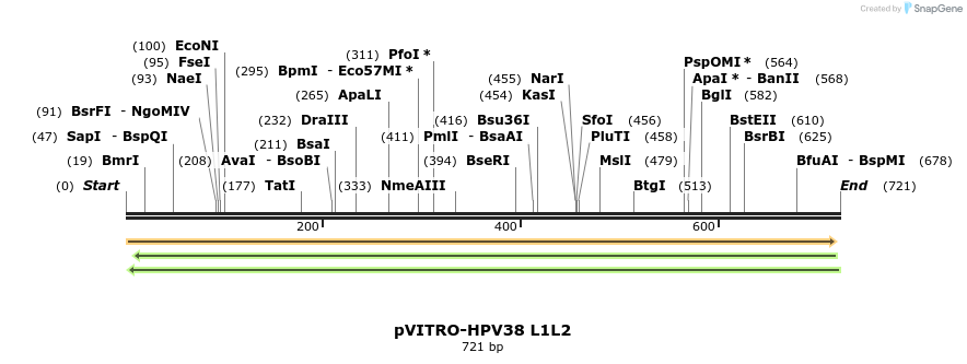 84741_map