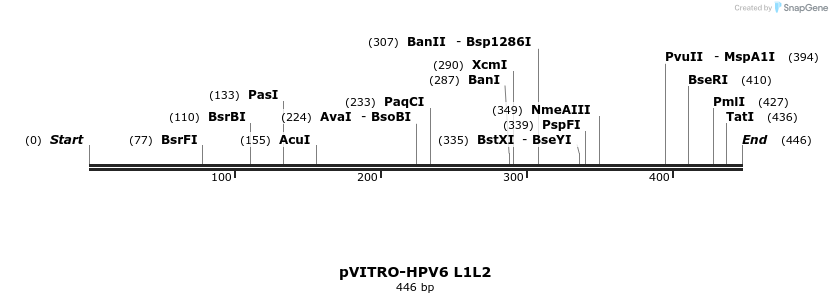 84743_map