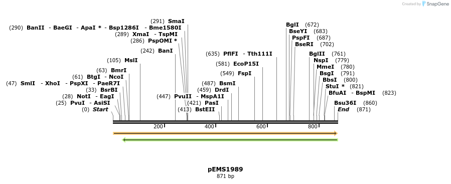 84747_map