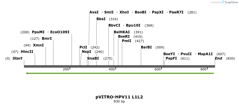 84749_map