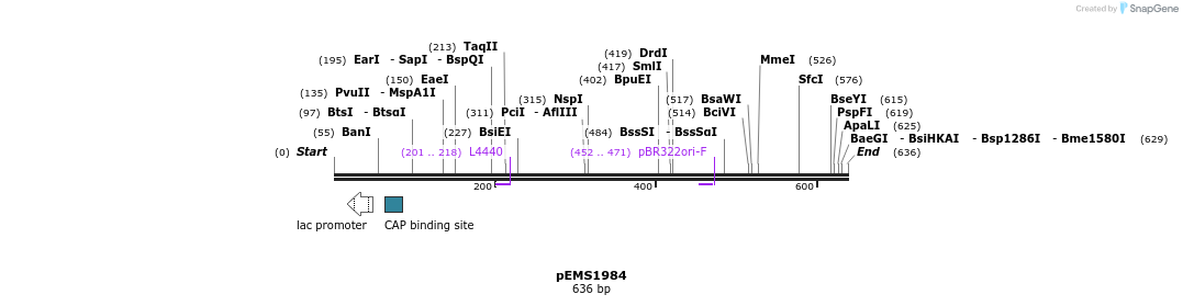 84750_map