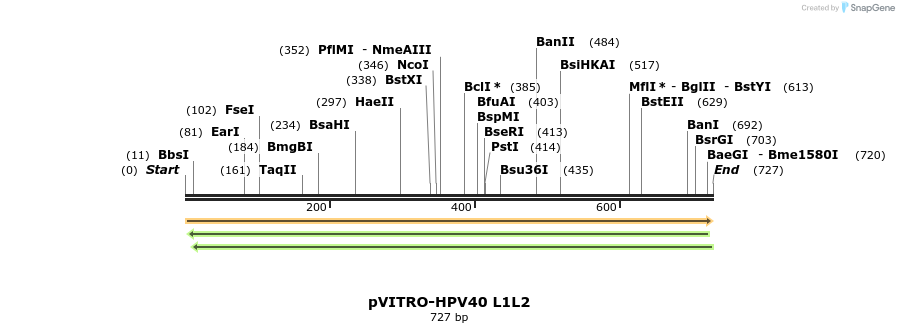 84752_map