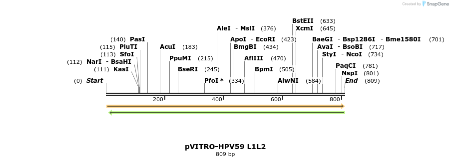 84753_map