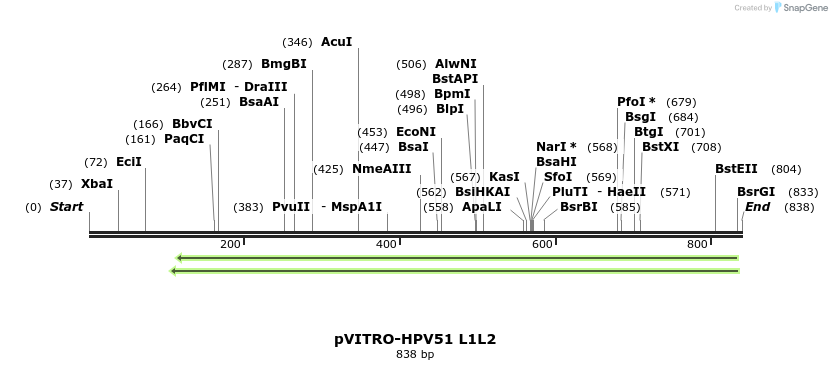 84768_map