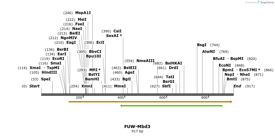 84769_map