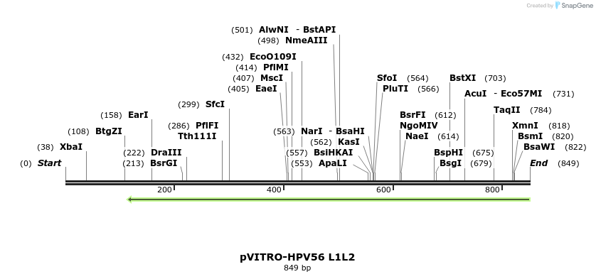 84770_map