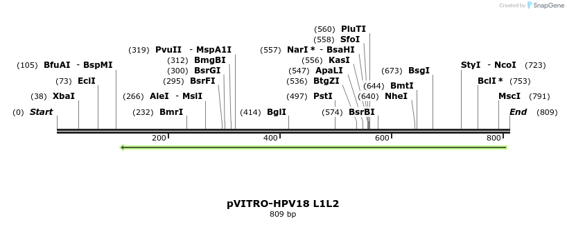 84773_map