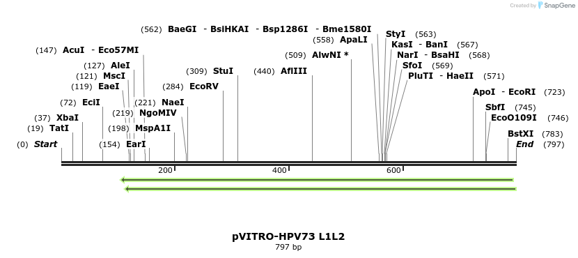 84775_map