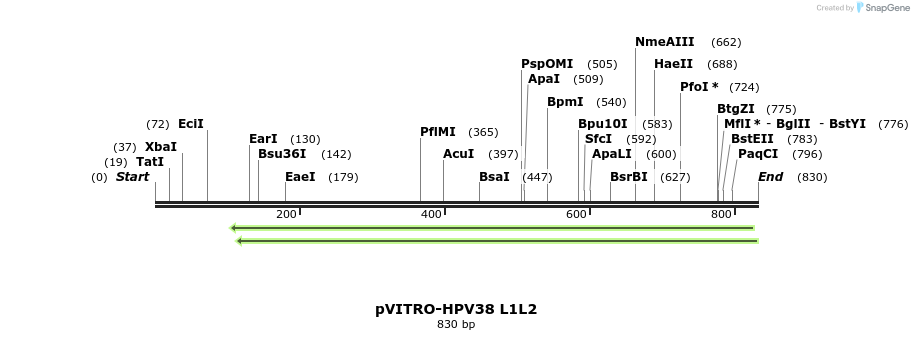 84776_map