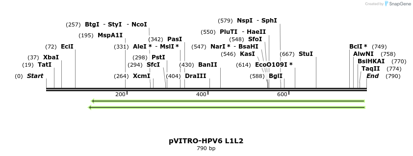 84777_map