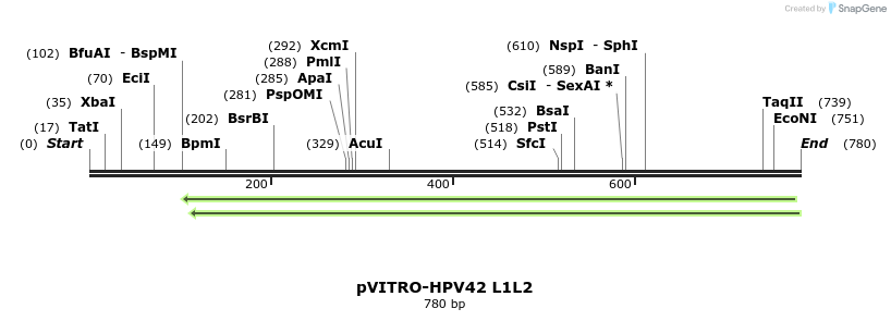 84779_map