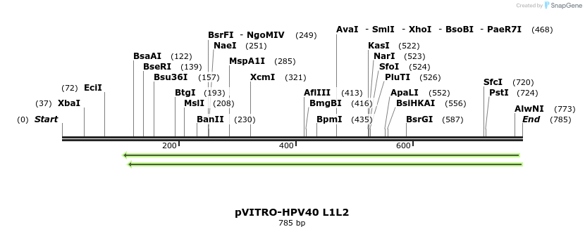 84783_map