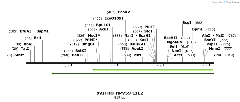 84784_map