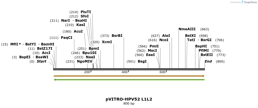 84788_map