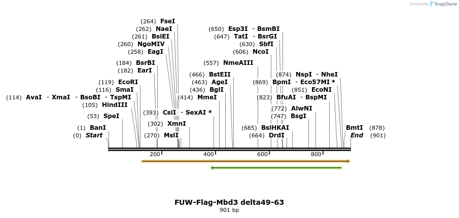 84790_map
