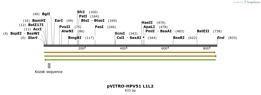 84792_map