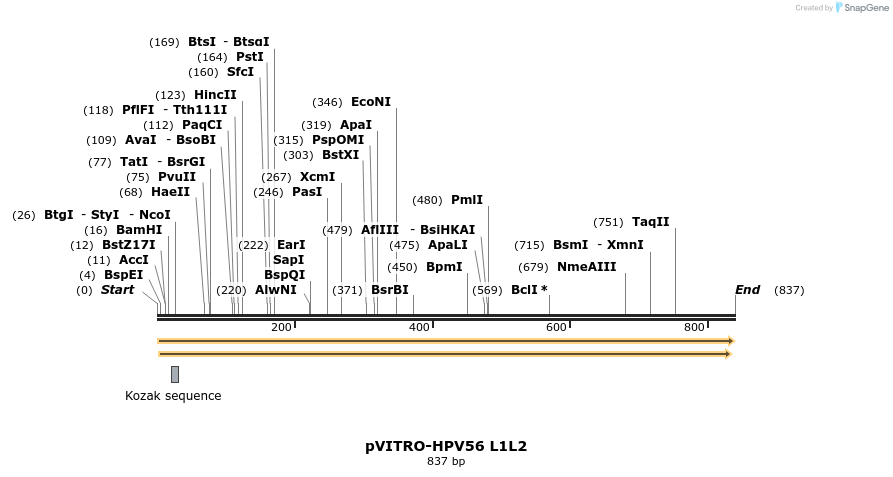 84793_map