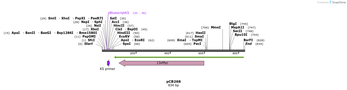 84796_map