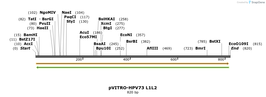 84797_map
