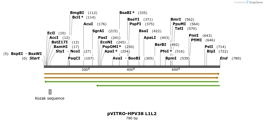 84798_map