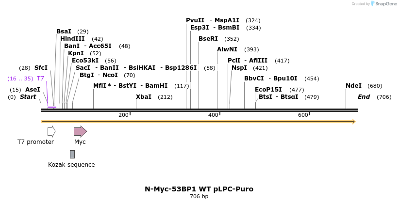 84802_map