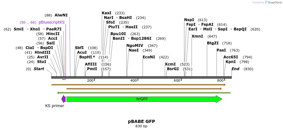 84803_map