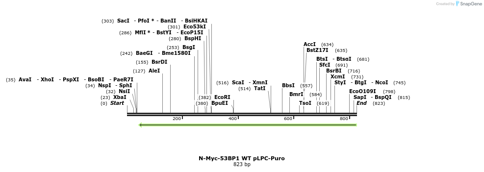 84804_map