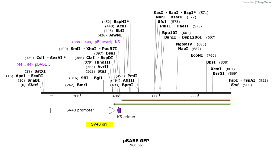 84805_map