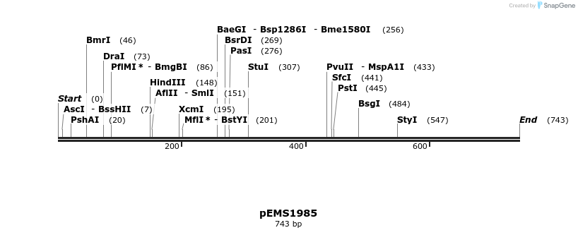 84818_map