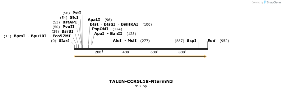 84823_map