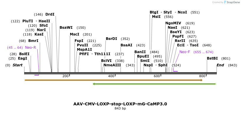 84826_map