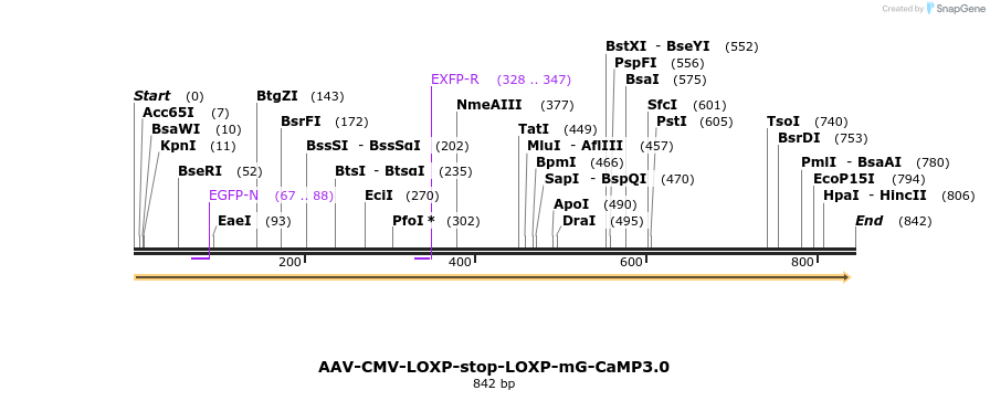84831_map