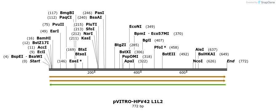 84840_map