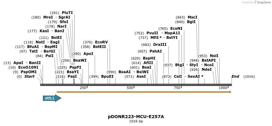 84850_map