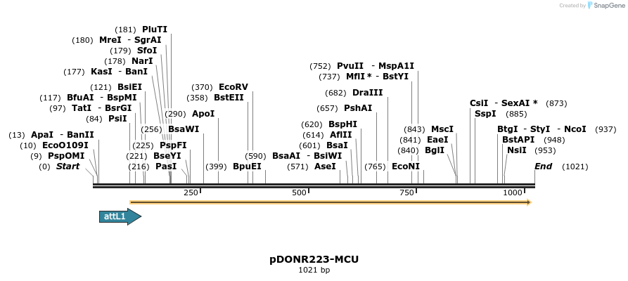84851_map