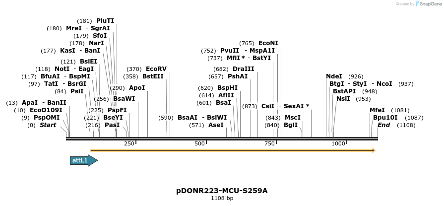 84852_map