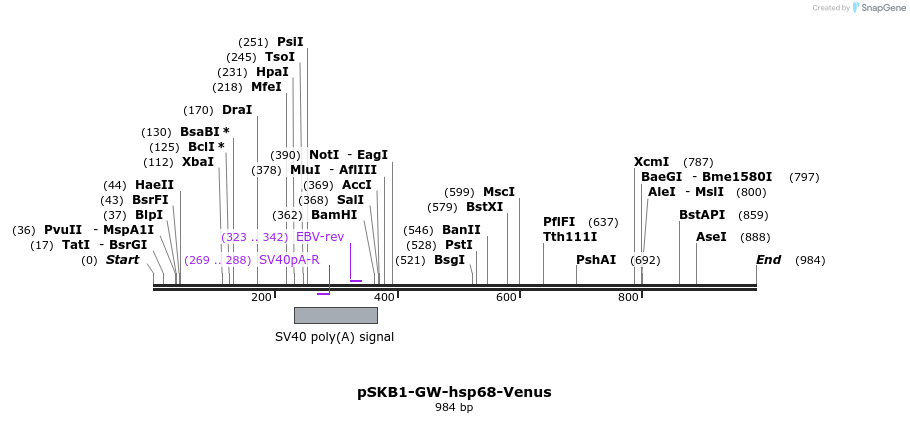 84859_map
