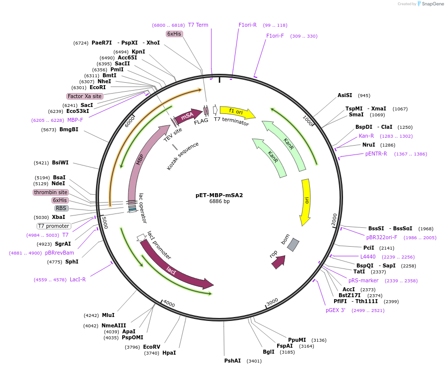84860_map