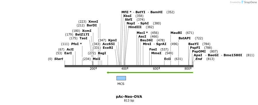 84864_map