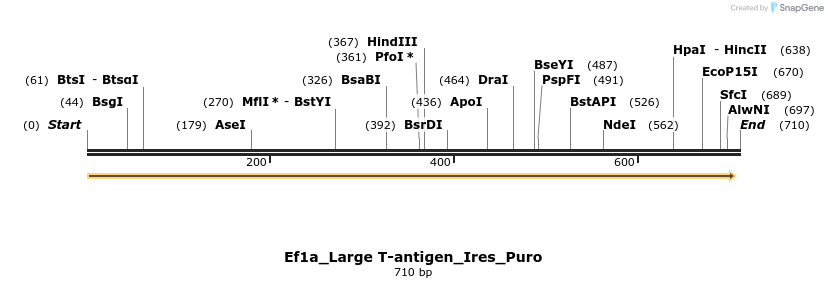 84867_map