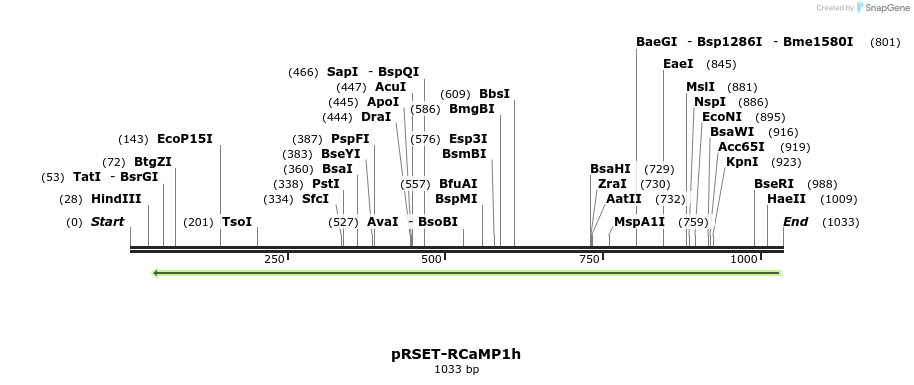 84869_map