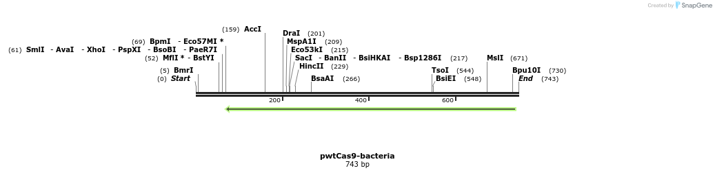 84876_map